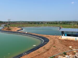 รับเหมาปูพีอีบ่อเก็บน้ำ.com หจก.เขียวสะอาด รับปูบ่อน้ำพลาสติก บ่อบำบัดน้ำเสีย บ่อแก๊ส 40 รับปูบ่อน้ำพลาสติก HDPEลำทะเมนชัย