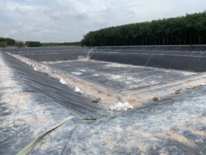 รับเหมาปูพีอีบ่อเก็บน้ำ.com หจก.เขียวสะอาด รับปูบ่อน้ำพลาสติก บ่อบำบัดน้ำเสีย บ่อแก๊ส 37 รับปูบ่อน้ำพลาสติก HDPEสีดา